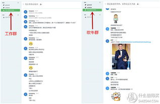 原創(chuàng)新人省小錢辦大事 群暉DS216 II網(wǎng)絡(luò)存儲(chǔ)NAS服務(wù)器搭建數(shù)據(jù)中心靠譜嗎？